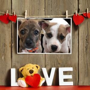 Meet your Posher, Maritza